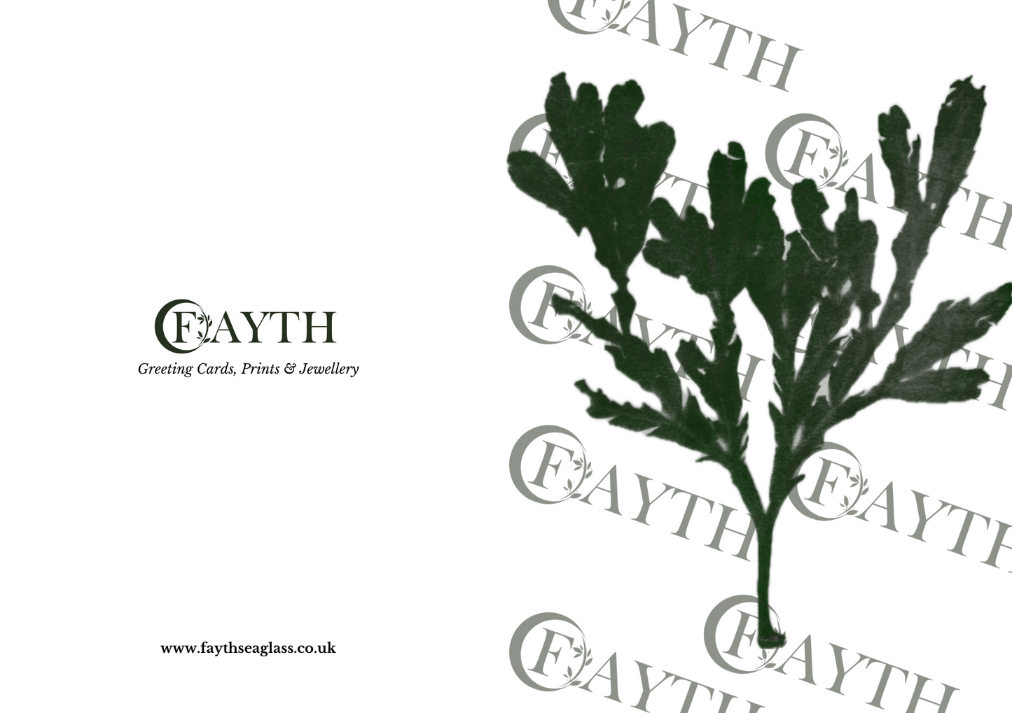 Green Seaweed on white background Greeting Card