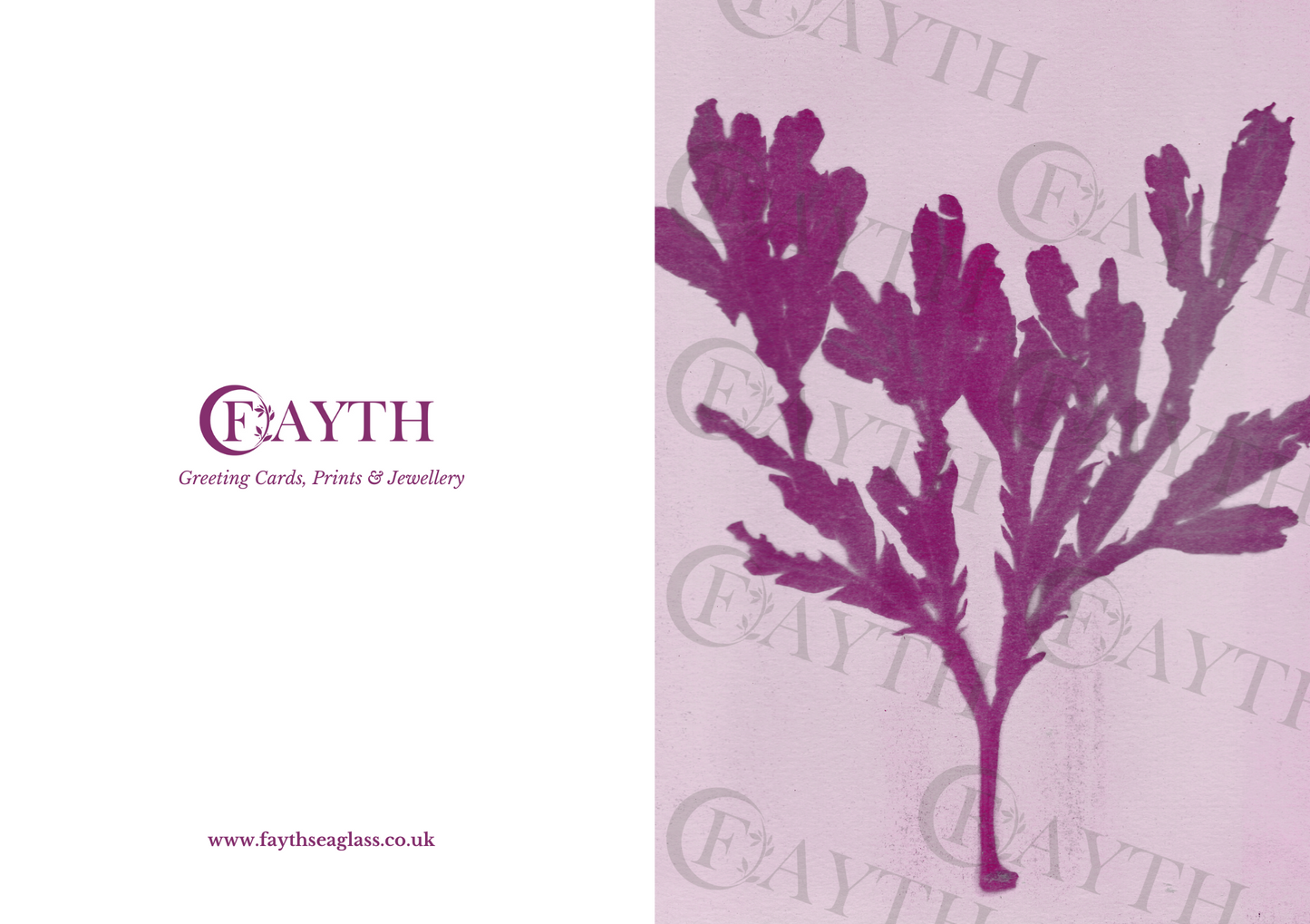 Pink Seaweed Greeting Card