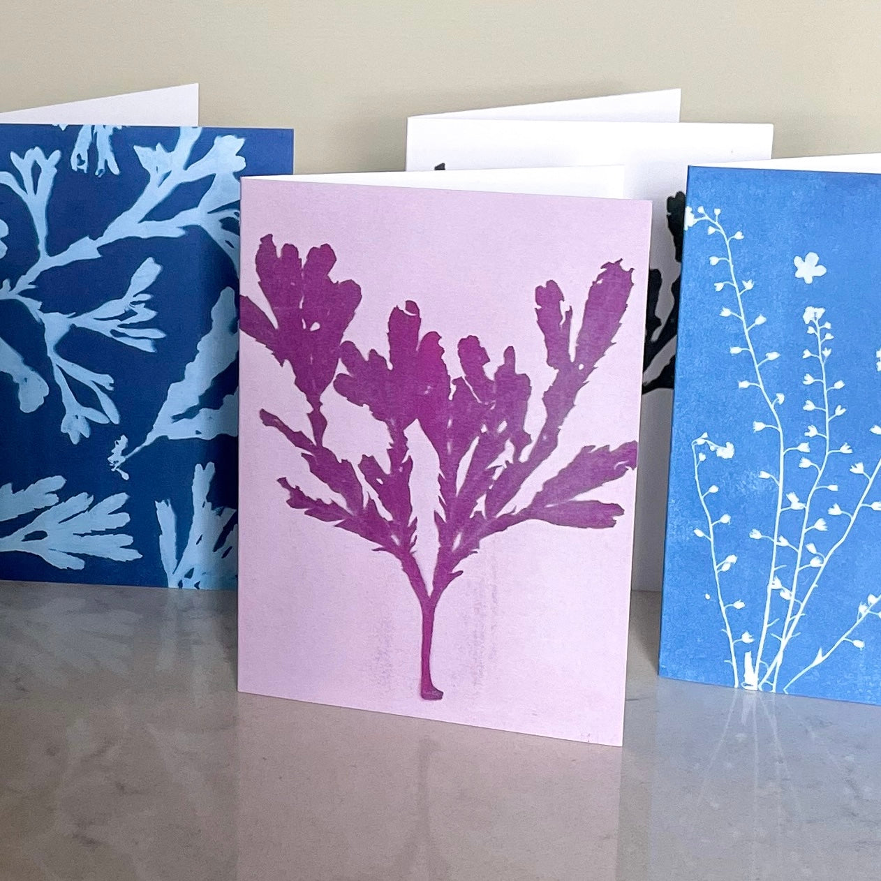 Pink Seaweed Greeting Card