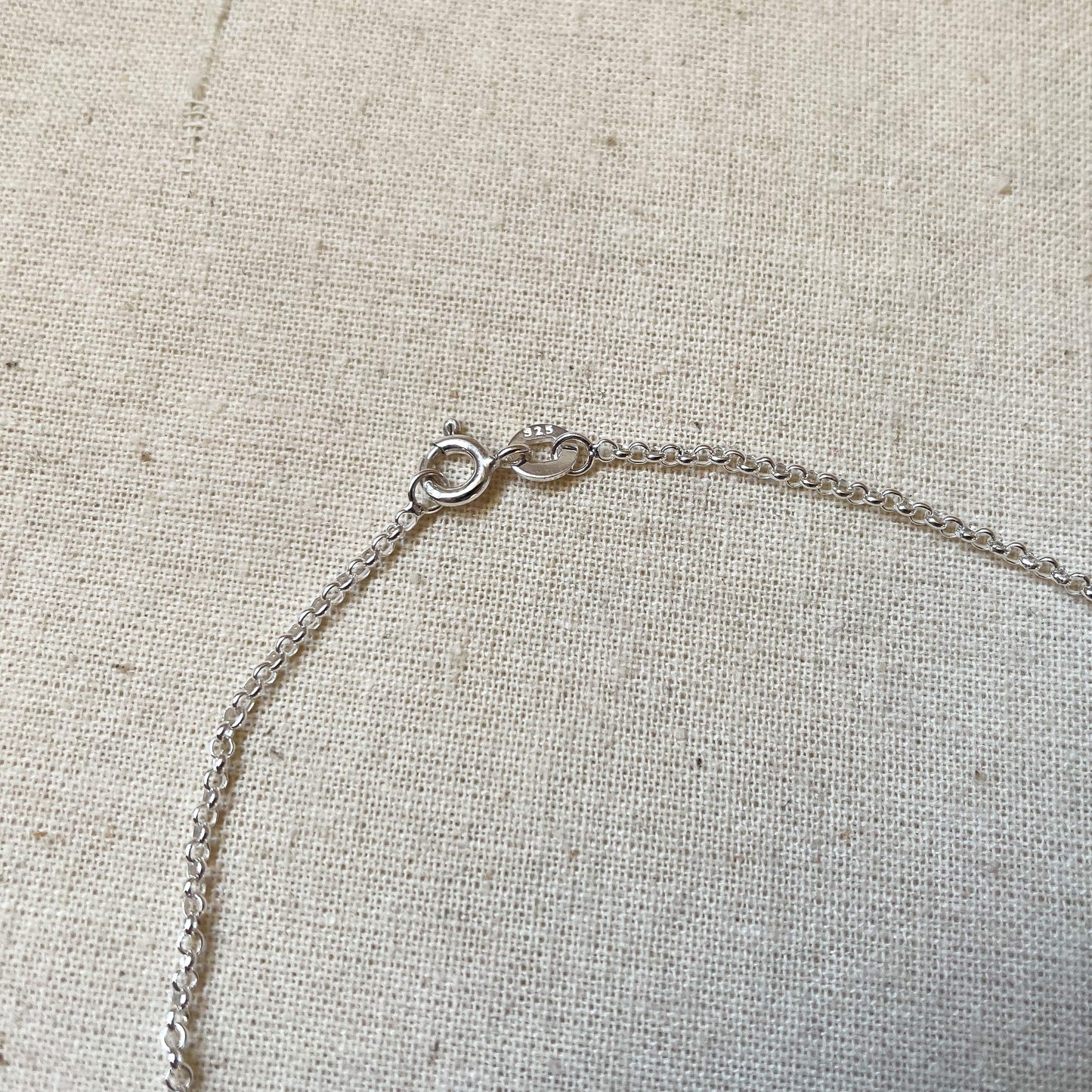 Silver bolt ring clasp on belcher chain