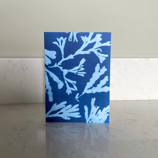 Seaweed Greeting card