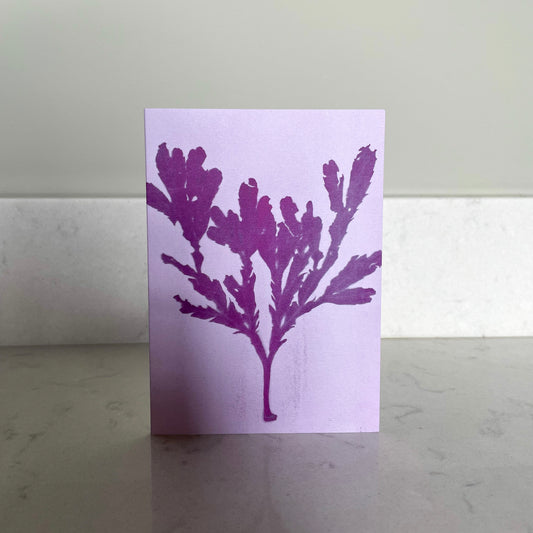 Pink Seaweed Greeting Card