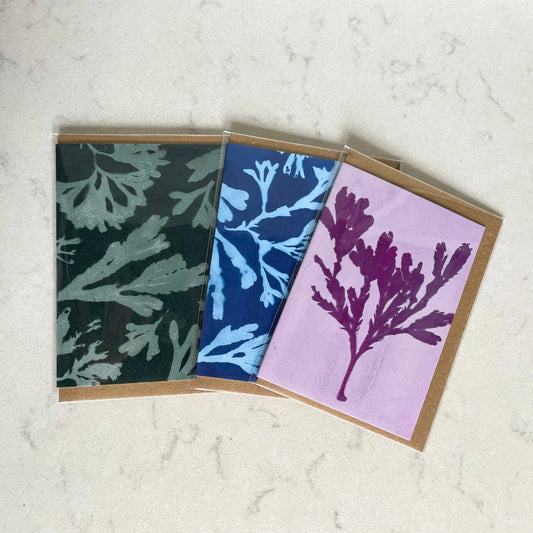 Pack of 3 Seaweed print cards